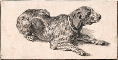 Liggende Hond door Aelbert Cuyp